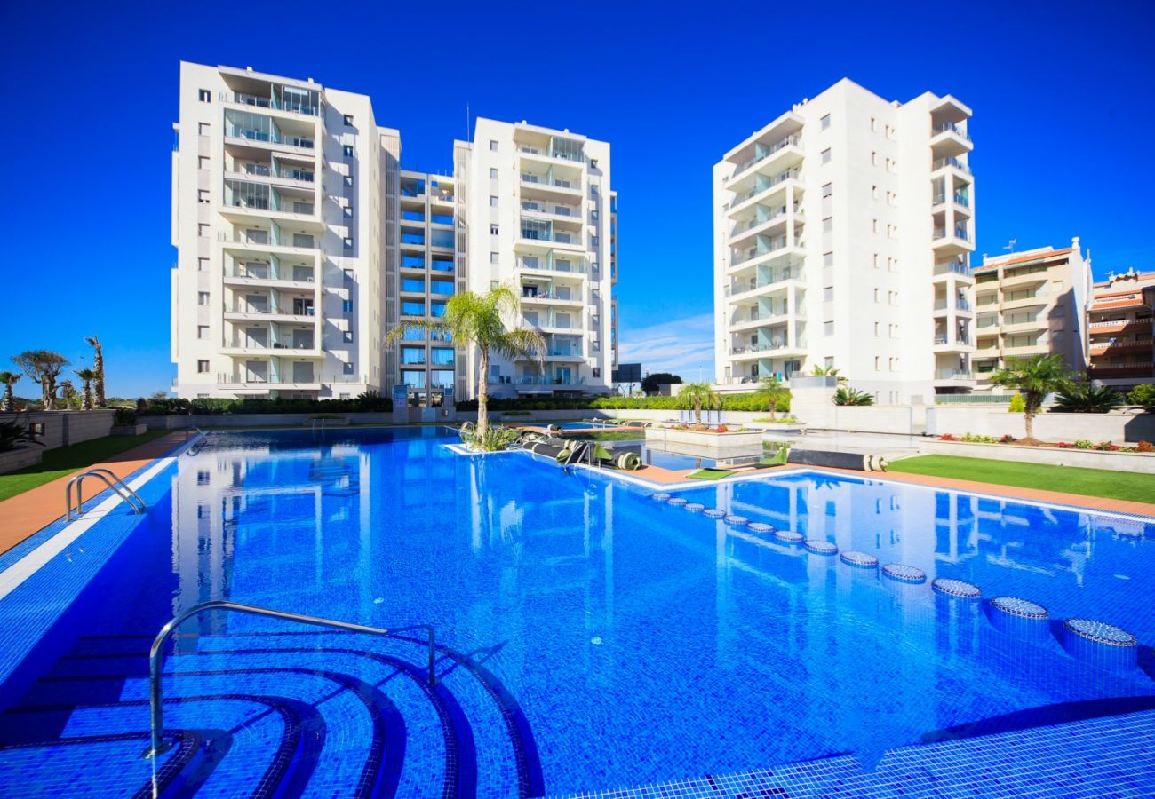 Apartment in Torrevieja - ID74