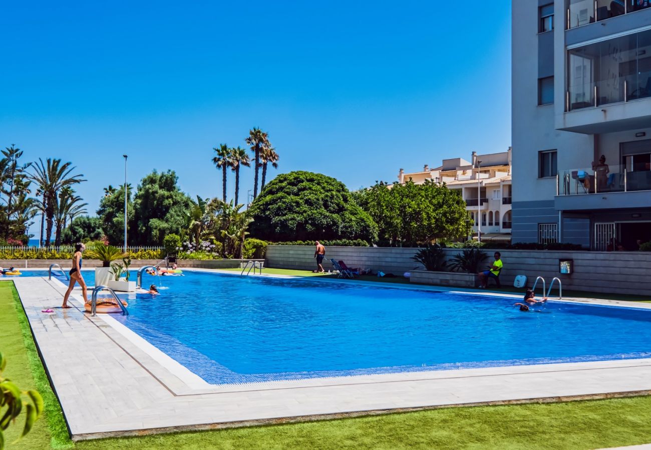 Apartment in Torrevieja - ID74