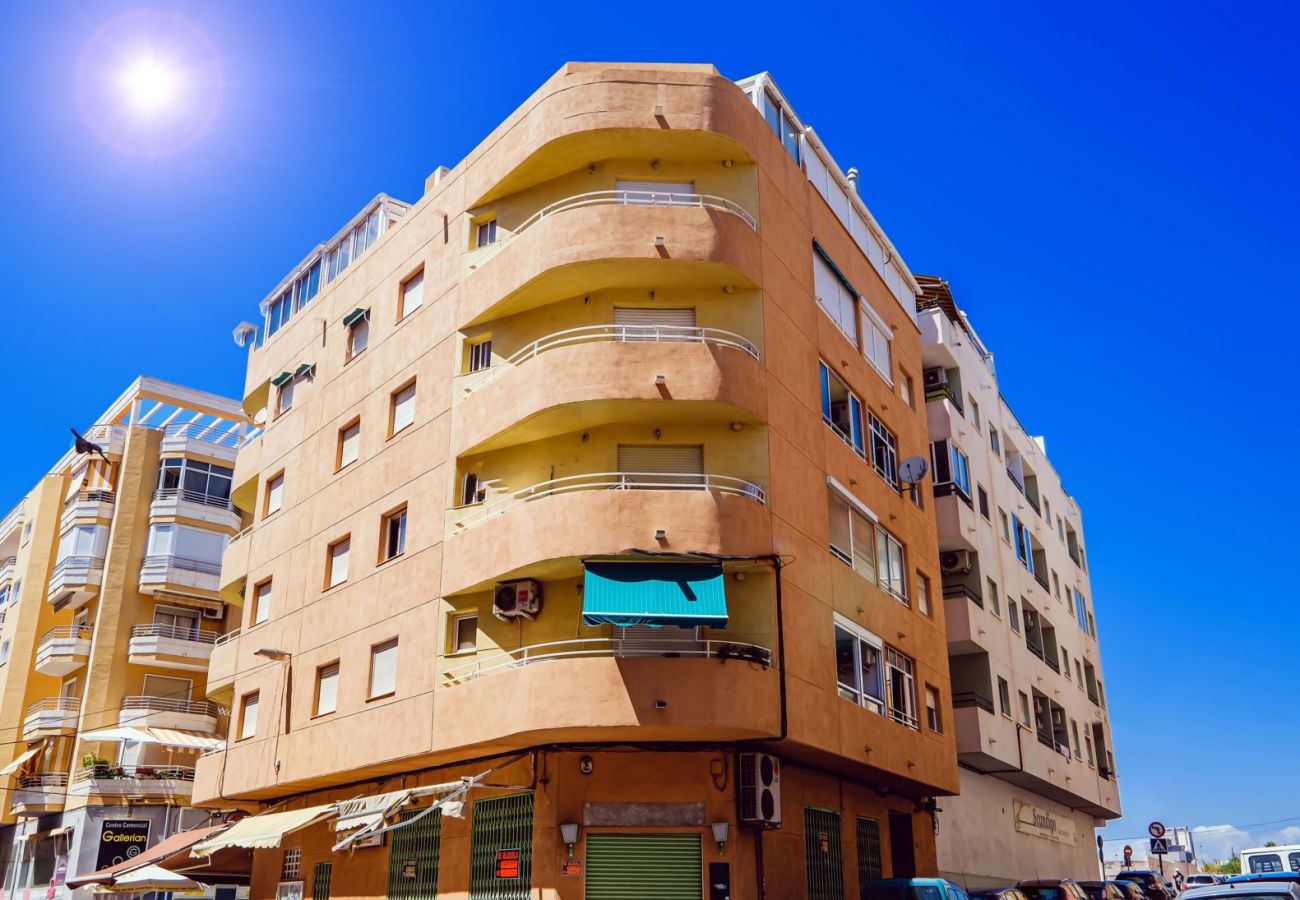 Apartment in Torrevieja - ID88