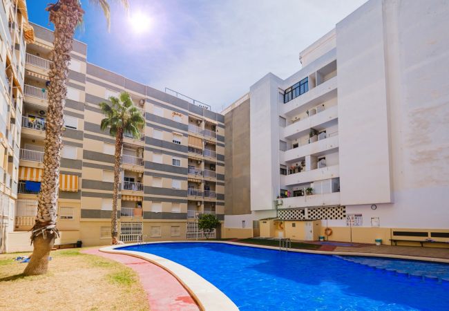 Apartment in Torrevieja - ID116