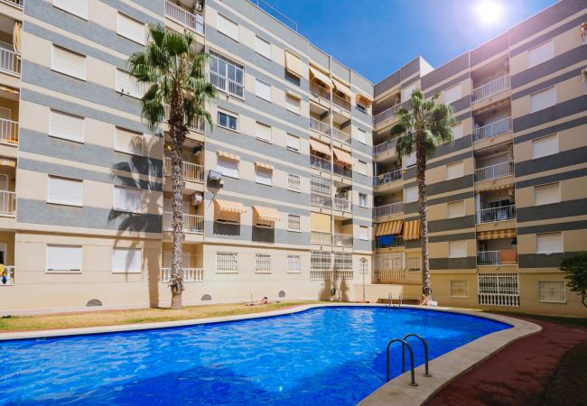 Apartment in Torrevieja - ID116