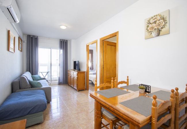 Apartment in Torrevieja - ID116 Apartment in Torrevieja - ID116