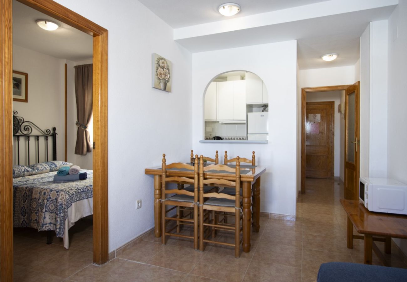 Apartment in Torrevieja - ID116