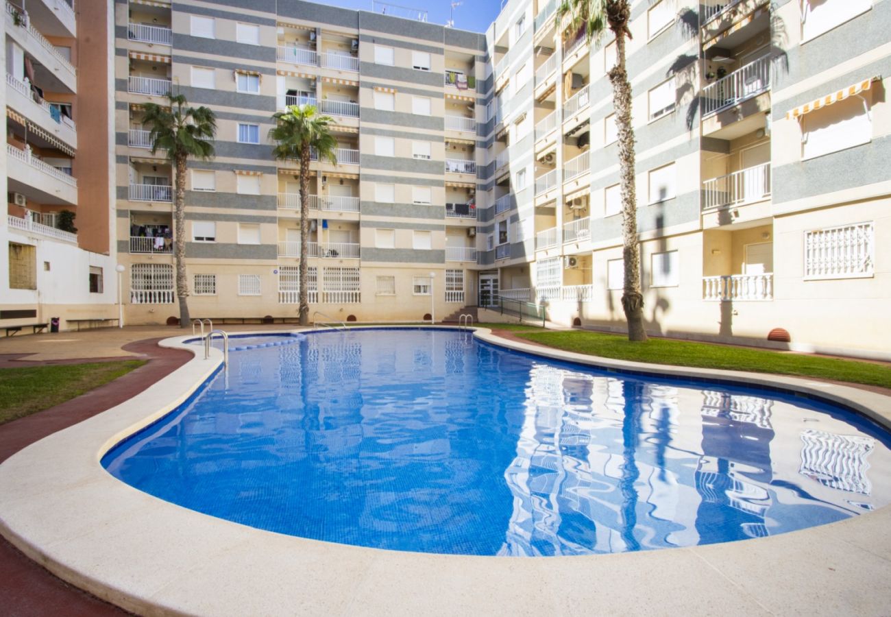 Apartment in Torrevieja - ID116