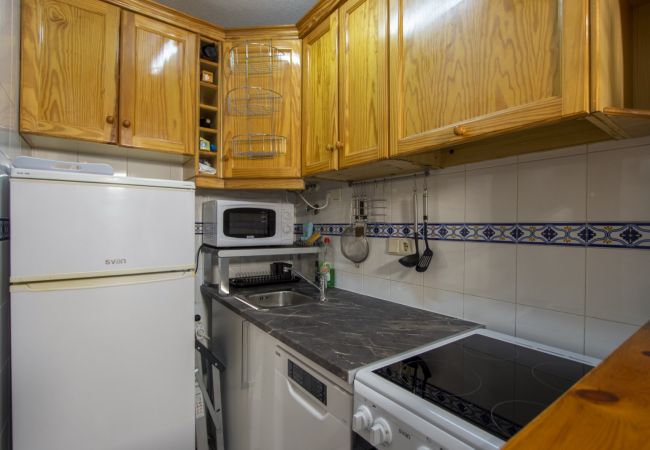 Apartment in Torrevieja - ID89