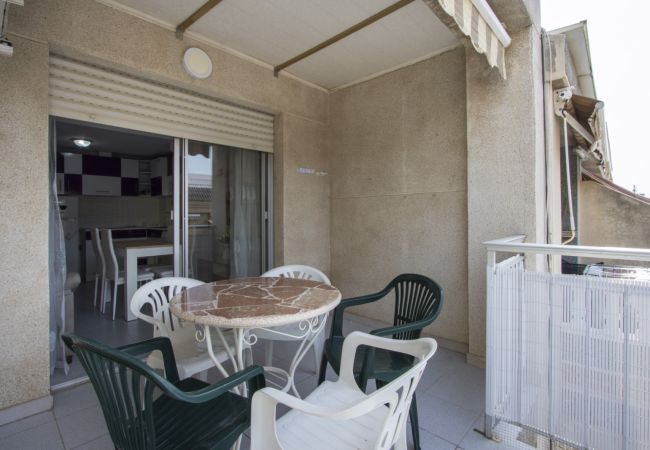 Apartment in Torrevieja - ID24