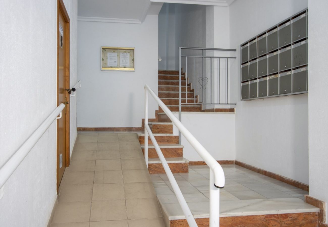 Apartment in Torrevieja - ID163