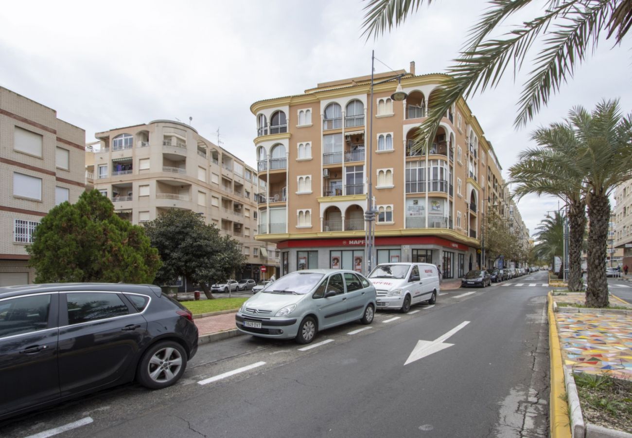 Apartment in Torrevieja - ID163