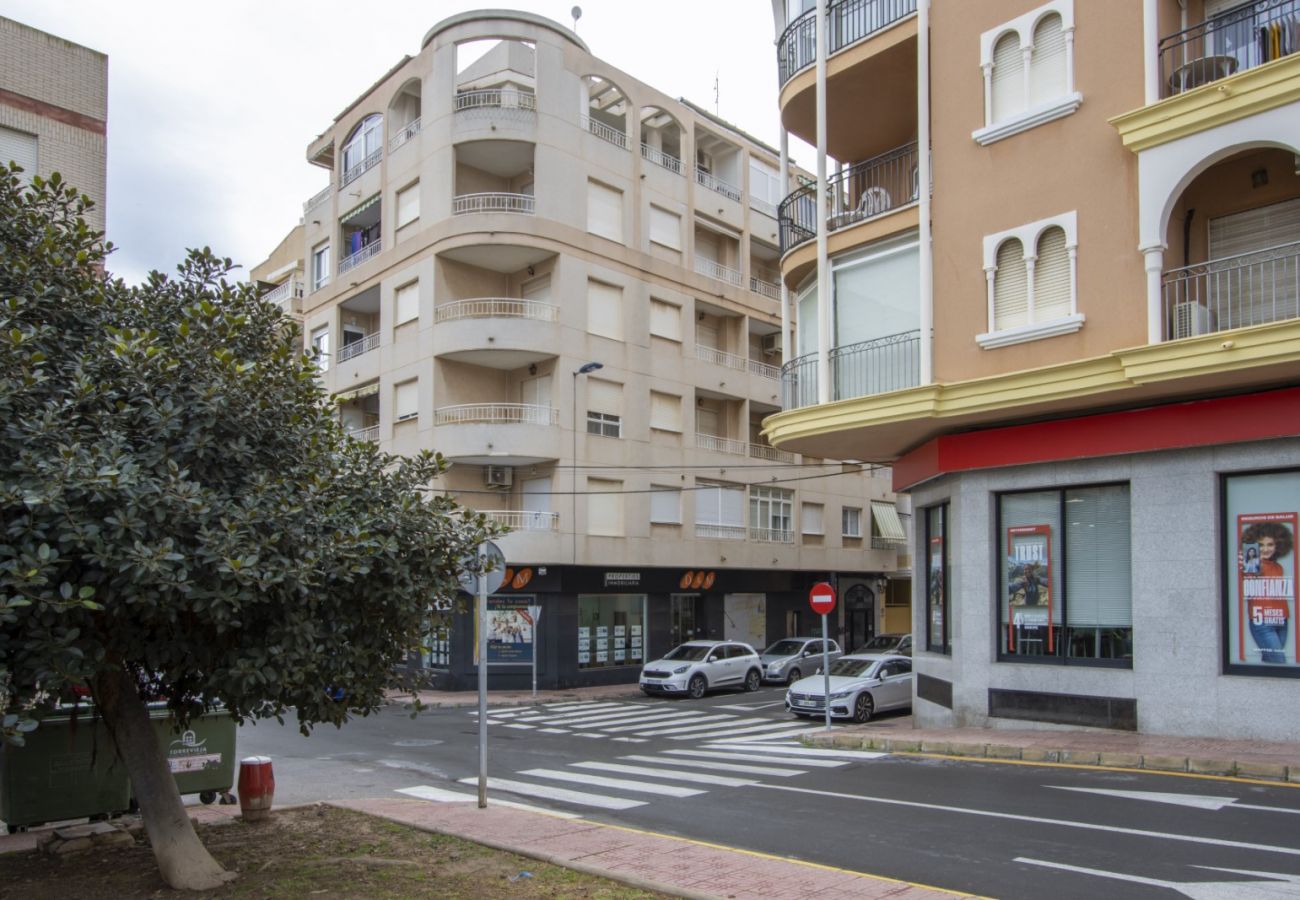 Apartment in Torrevieja - ID163