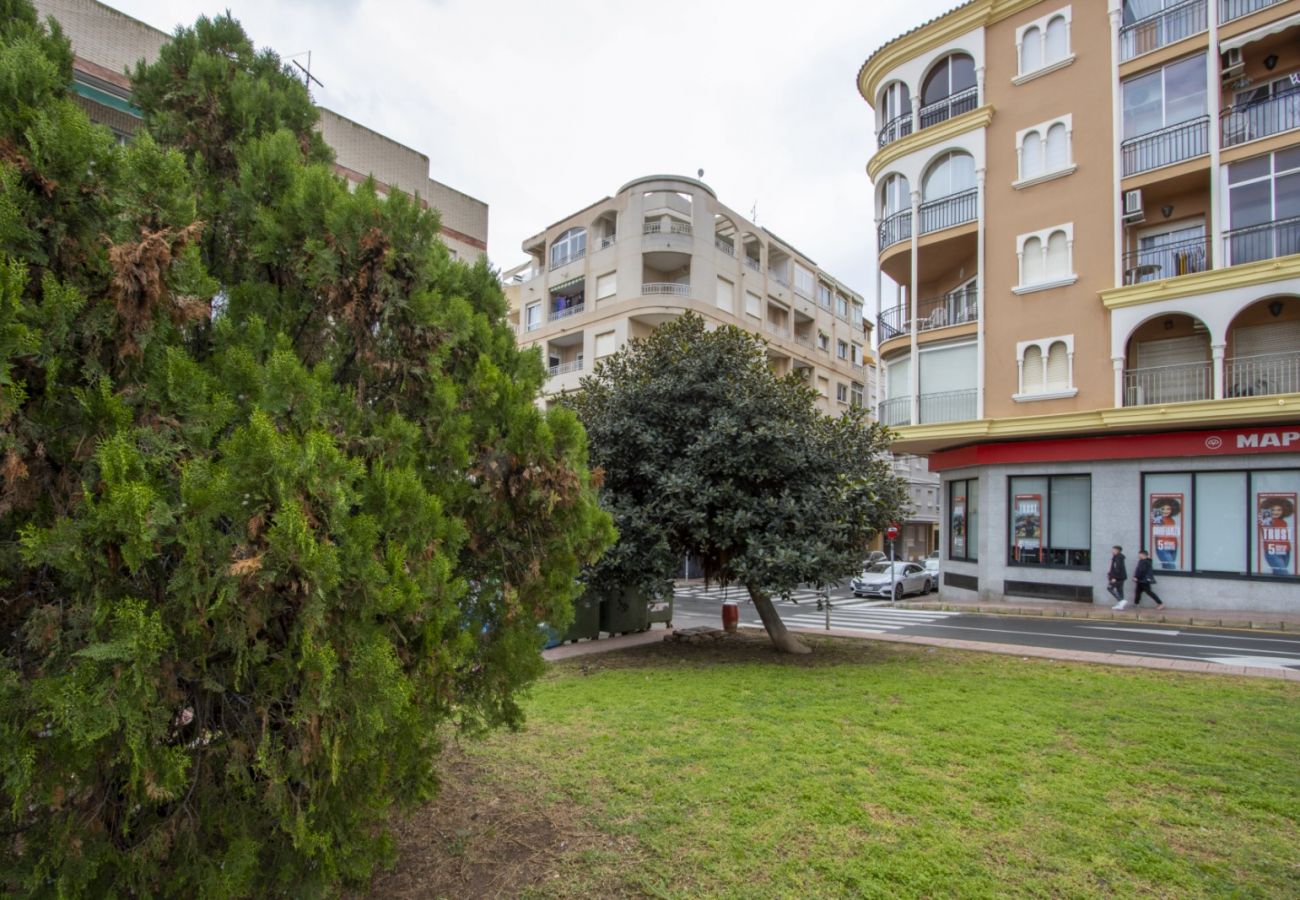 Apartment in Torrevieja - ID163