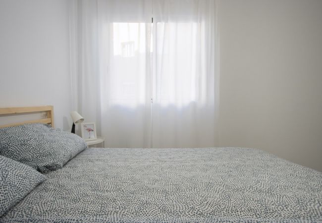 Apartment in Torrevieja - ID113