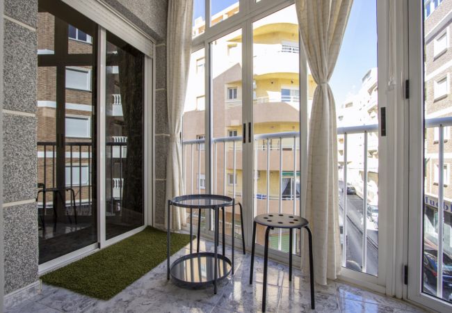 Apartment in Torrevieja - ID113