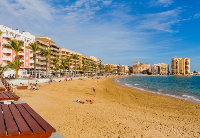 Apartment in Torrevieja - ID126