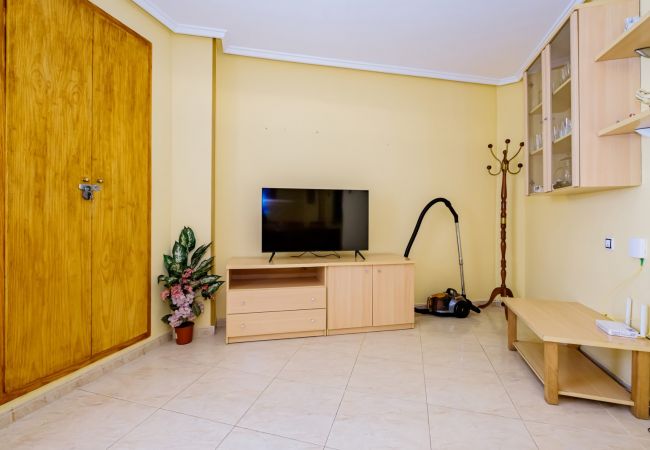 Apartment in Torrevieja - ID91