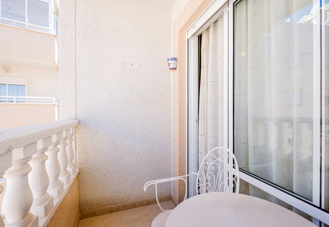 Apartment in Torrevieja - ID91