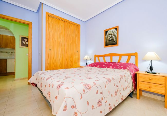 Apartment in Torrevieja - ID91