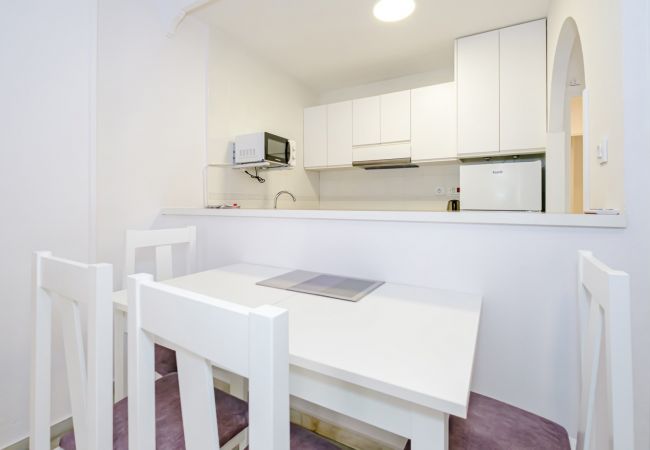 Apartment in Torrevieja - ID13