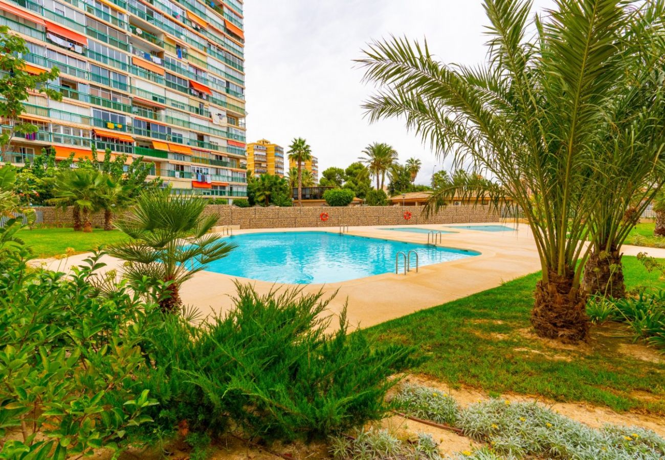 Apartment in San Juan de Alicante - AL Apartamento San Juan con 1 dormitorio