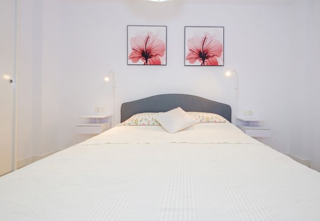 Apartment in Torrevieja - ID176