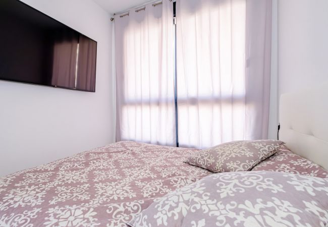 Apartment in Torrevieja - ID117