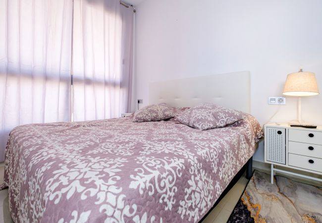 Apartment in Torrevieja - ID117
