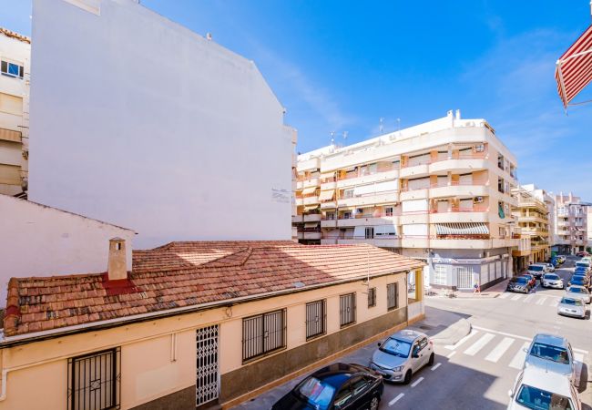 Apartment in Torrevieja - ID180
