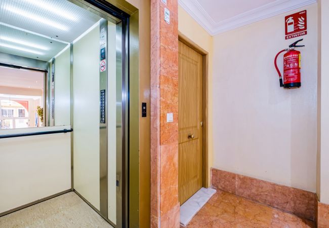 Apartment in Torrevieja - ID180
