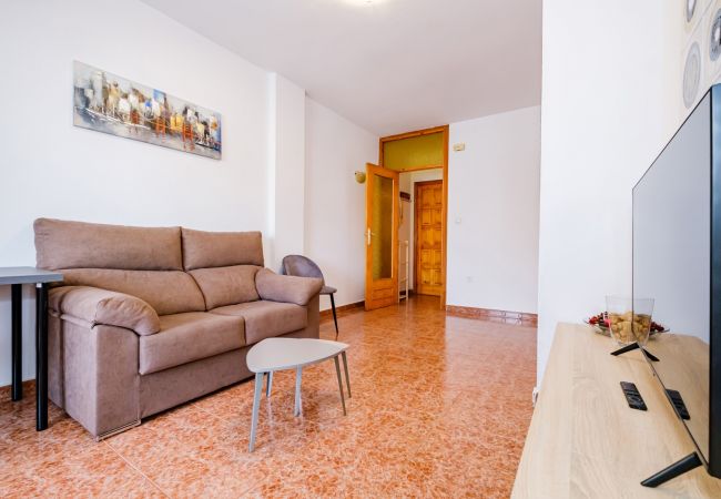 Apartment in Torrevieja - ID79