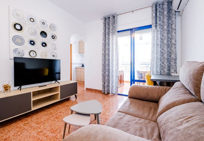 Apartment in Torrevieja - ID79