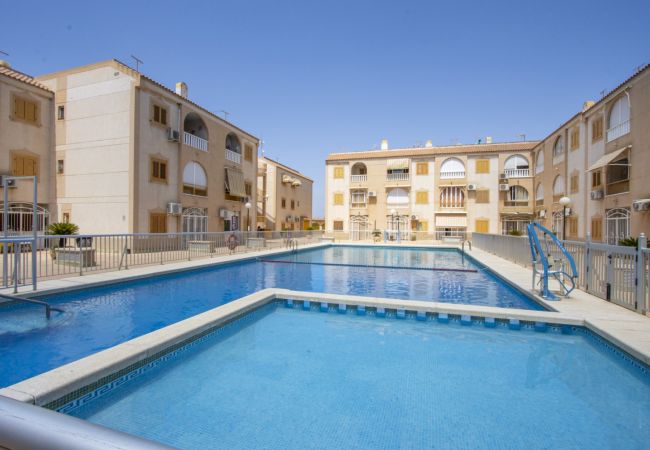 Apartment in Torrevieja - ID188