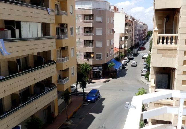 Apartment in Torrevieja - ID190