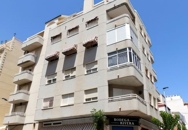 Apartment in Torrevieja - ID190