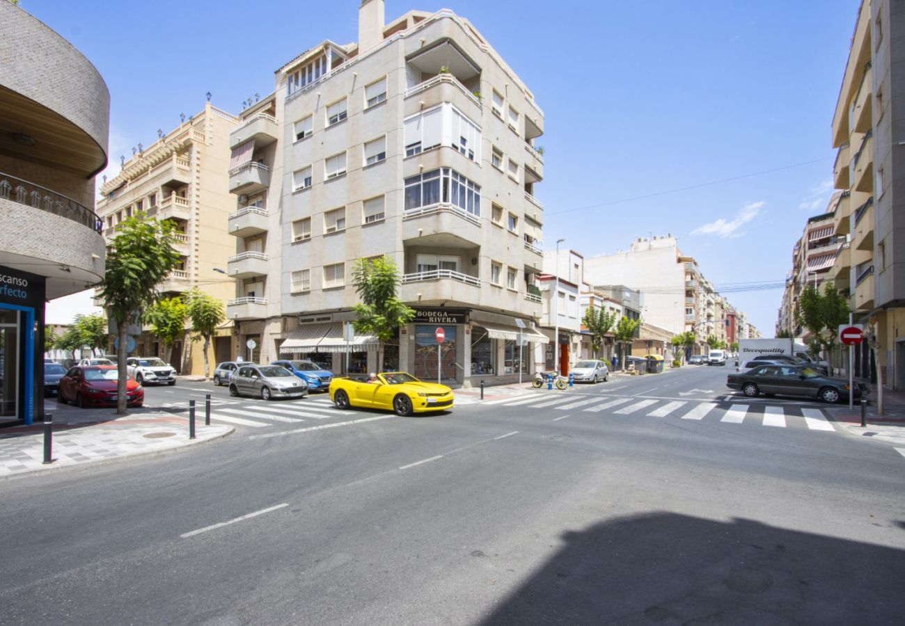 Apartment in Torrevieja - ID190