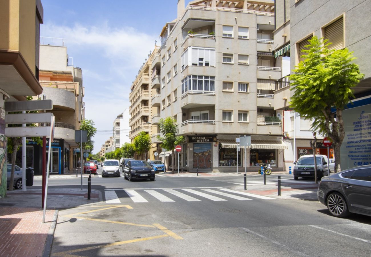 Apartment in Torrevieja - ID190
