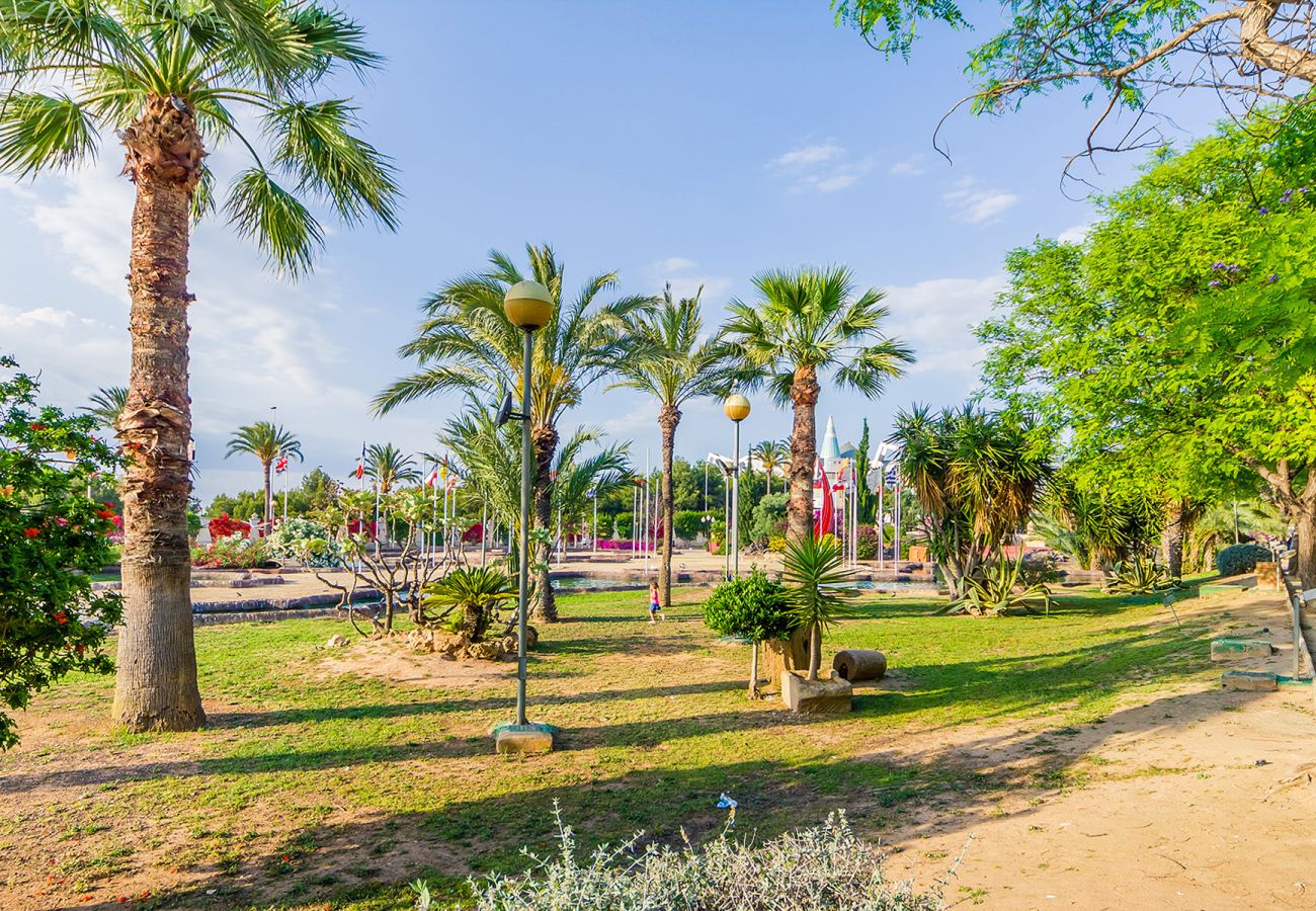 Apartment in Torrevieja - ID190