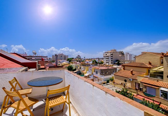 Apartment in Torrevieja - ID191