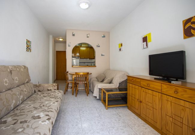 Apartment in Torrevieja - ID194