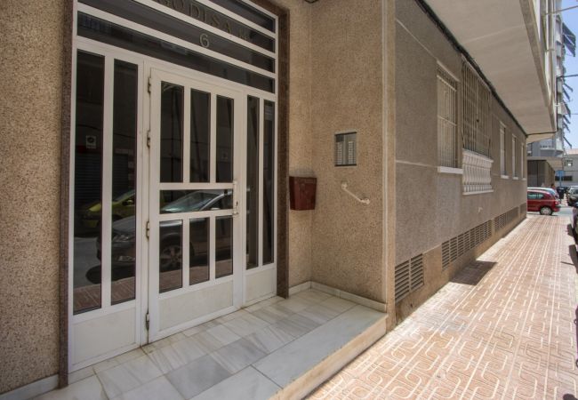 Apartment in Torrevieja - ID194