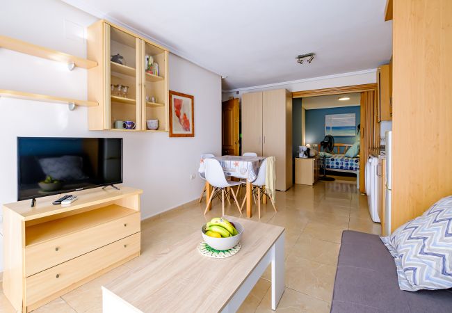 Studio in Torrevieja - ID195