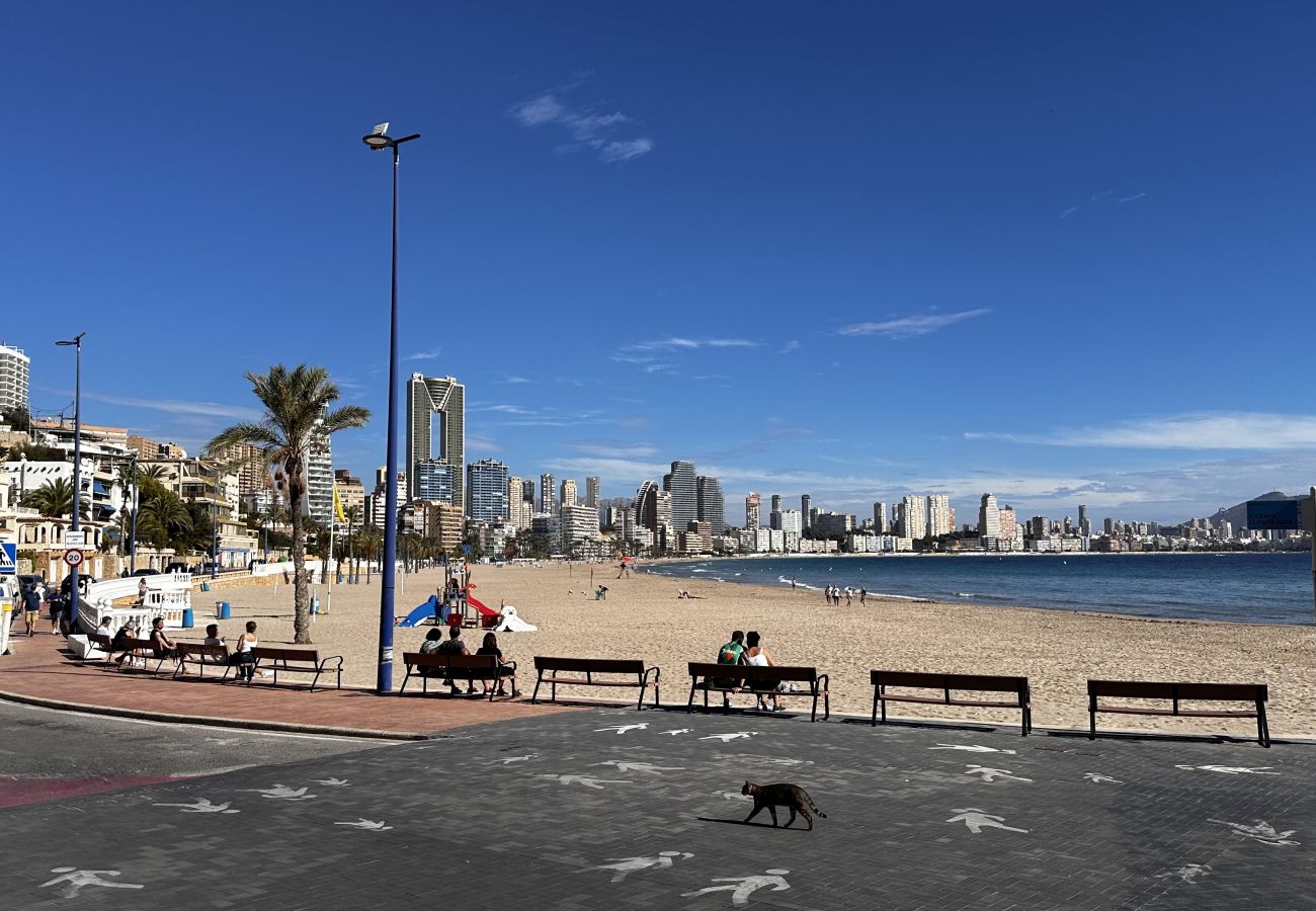 Bungalow in Benidorm - BL BUNGALOW PLAYA PONIENTE BENIDORM