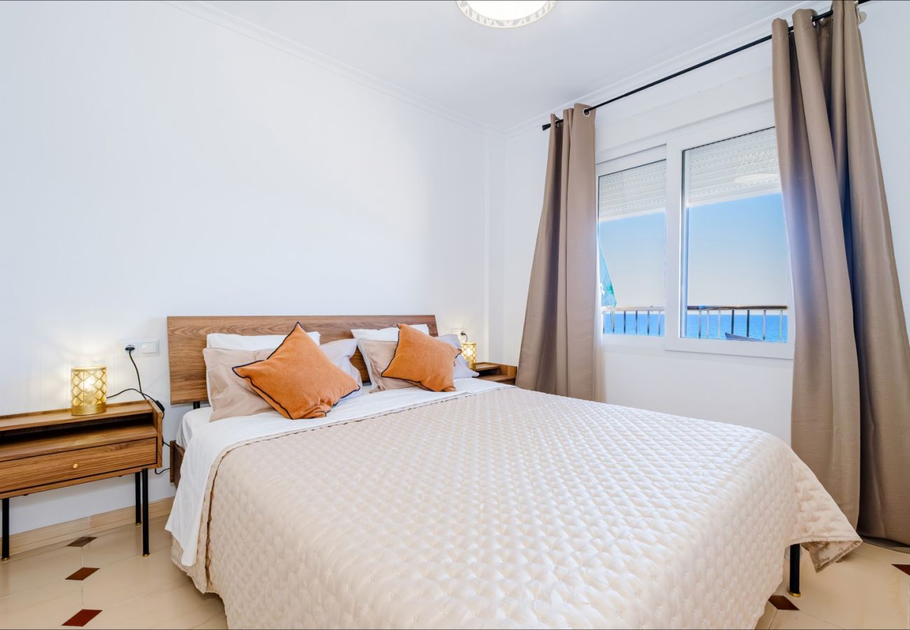 Apartment in Torrevieja - ID185