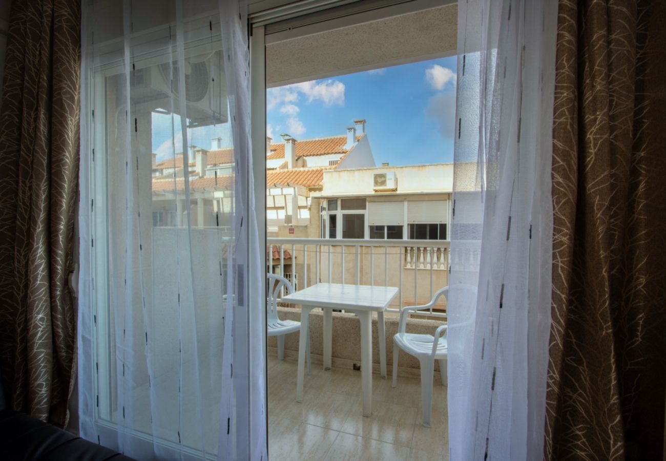 Apartment in Torrevieja - ID104