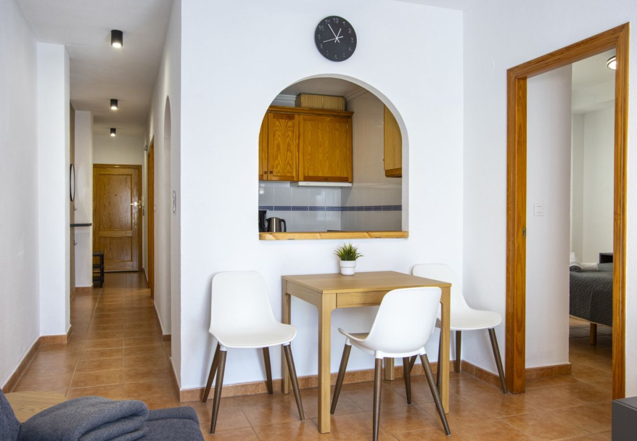 Apartment in Torrevieja - ID127