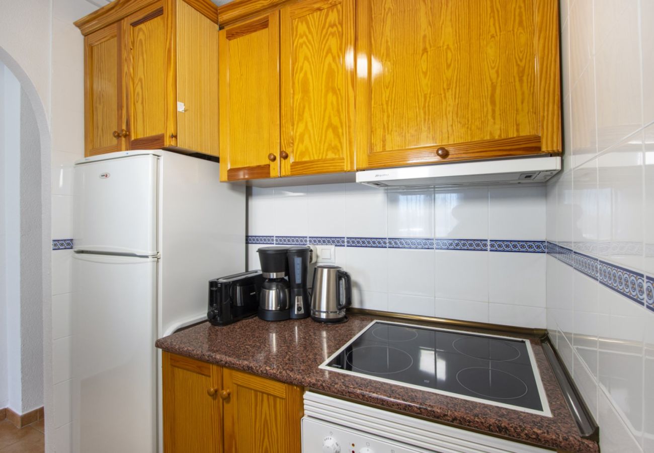 Apartment in Torrevieja - ID127