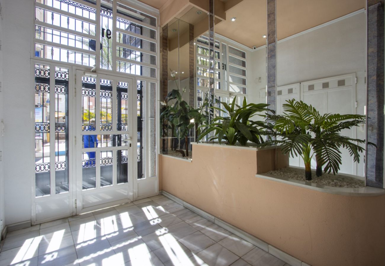Apartment in Torrevieja - ID127