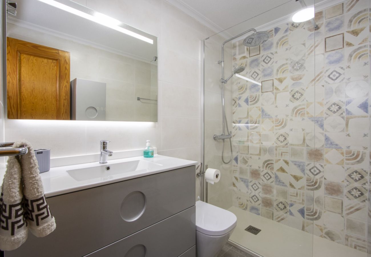 Apartment in Torrevieja - ID137