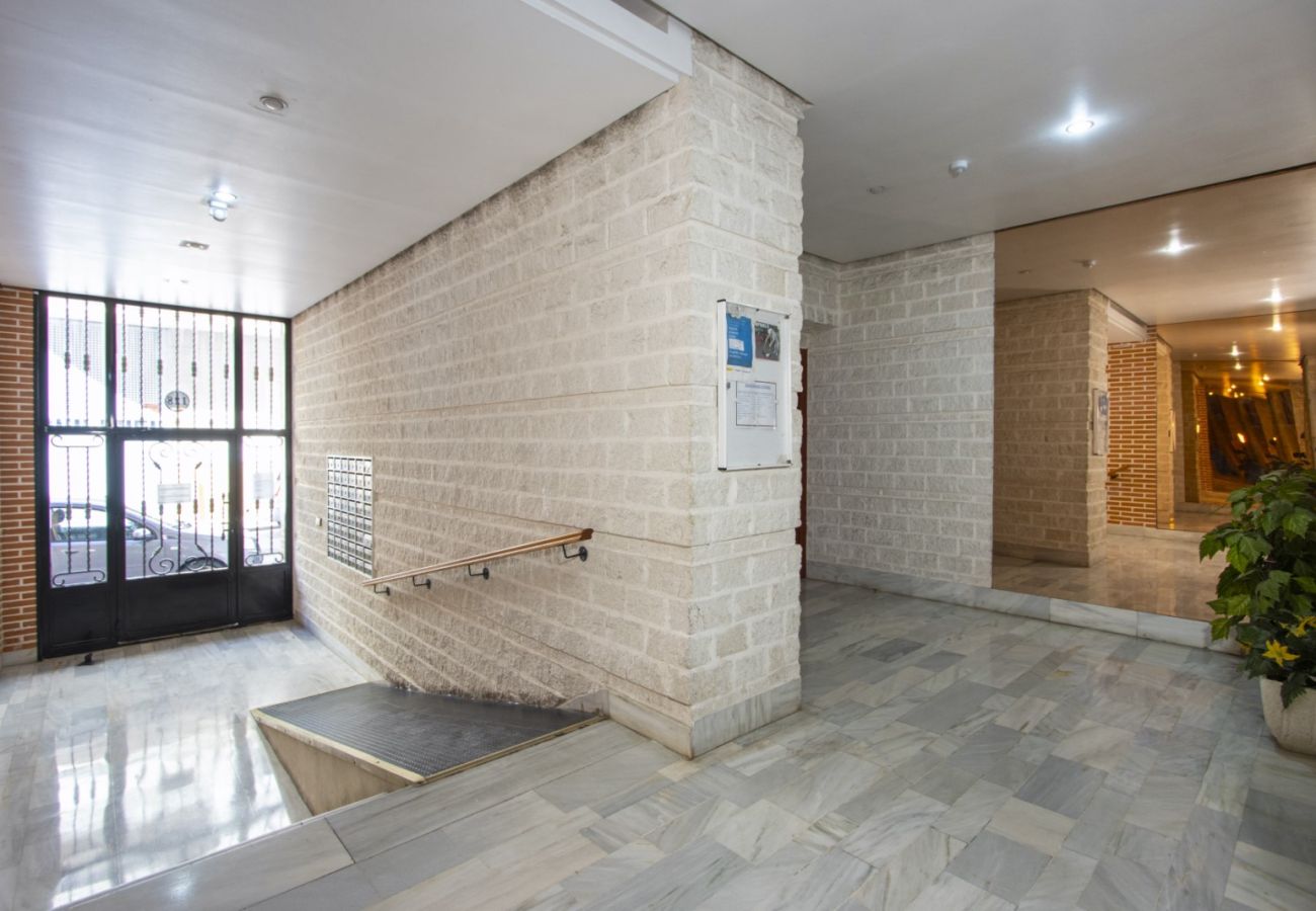 Apartment in Torrevieja - ID137