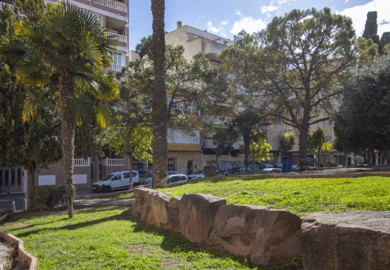 Apartment in Torrevieja - ID137