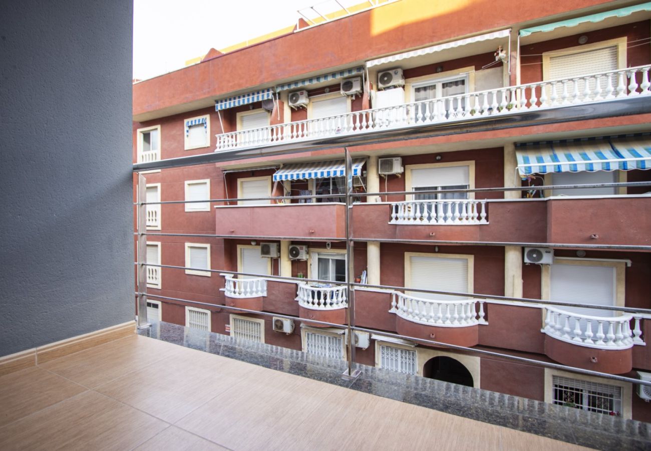 Apartment in Torrevieja - ID199