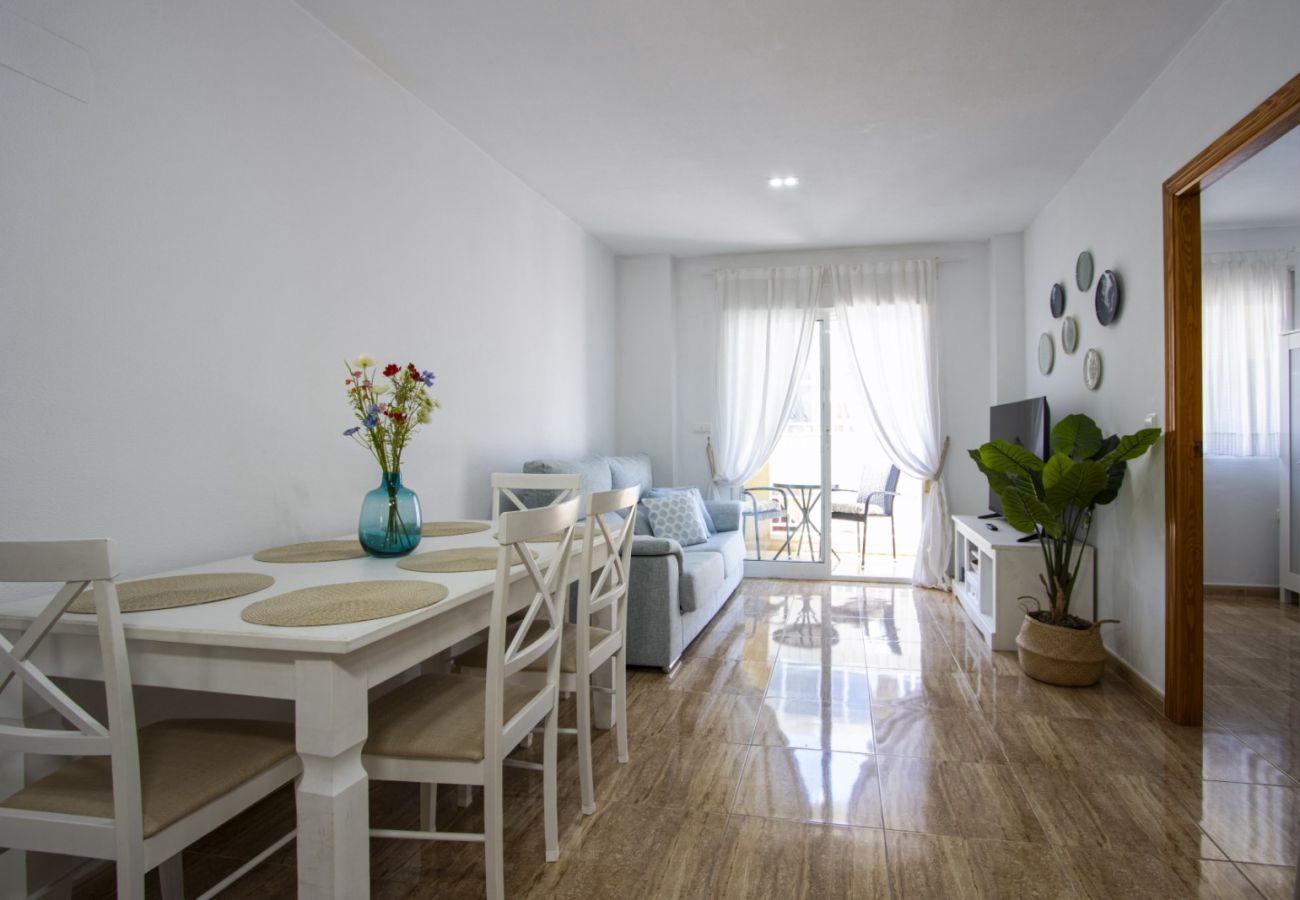 Apartment in Torrevieja - ID183